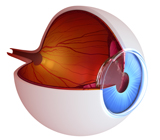Marion Retina Institute | Retinal Disease Treatment | Marion IL | Dexter MO