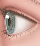 2D image of eye